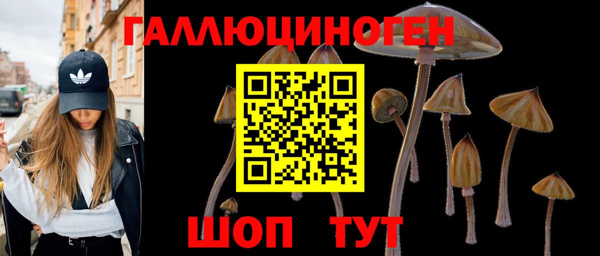 Псилоцибиновые грибы GOLDEN TEACHER  Вход с VPN  Моршанск  цена   Псилоцибиновые грибы GOLDEN TEACHER 